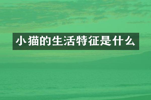 小猫的生活特征是什么