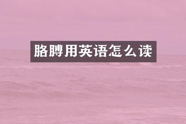 胳膊用英语怎么读
