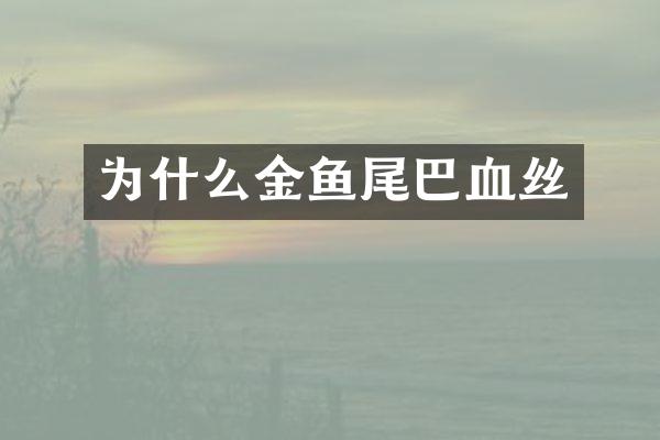 为什么金鱼尾巴血丝