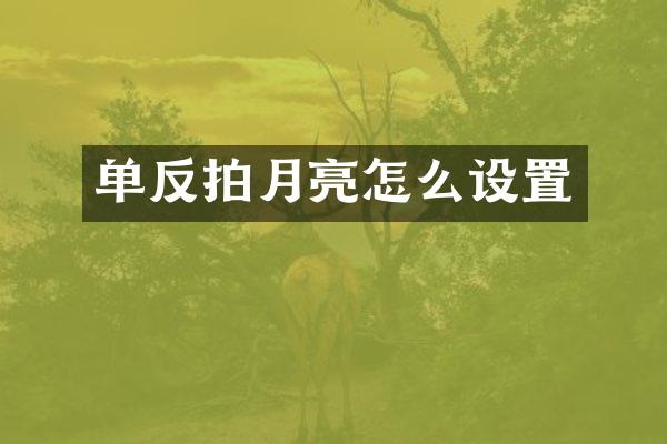 单反拍月亮怎么设置