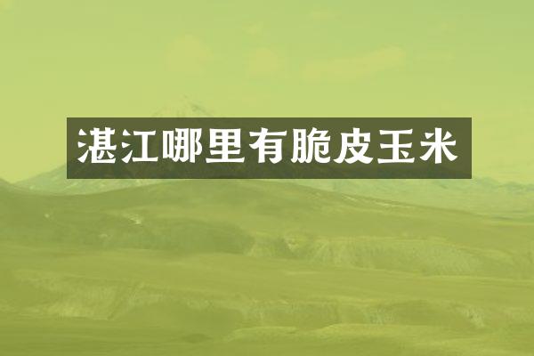 湛江哪里有脆皮玉米