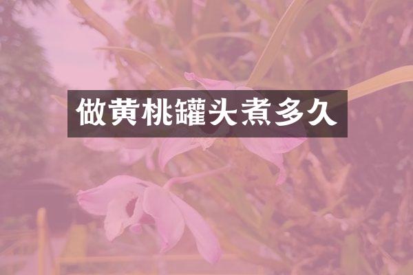 做黄桃罐头煮多久