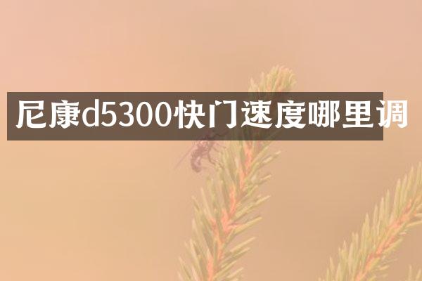 尼康d5300快门速度哪里调
