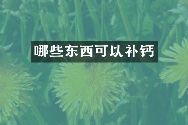 哪些东西可以补钙