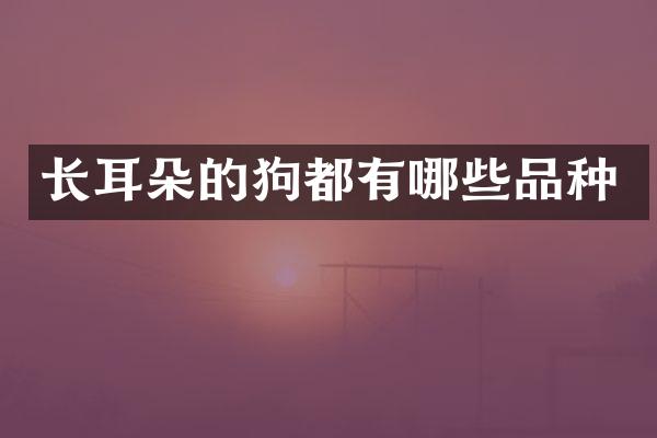 长耳朵的狗都有哪些品种