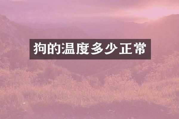 狗的温度多少正常
