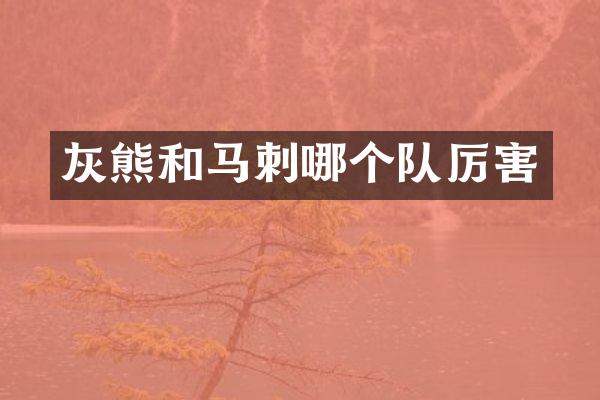 灰熊和马刺哪个队厉害