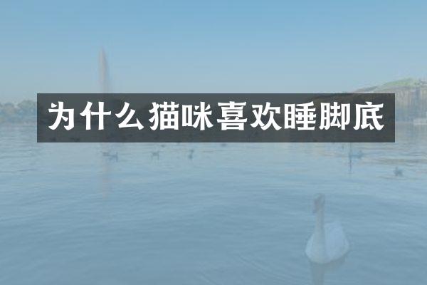 为什么猫咪喜欢睡脚底