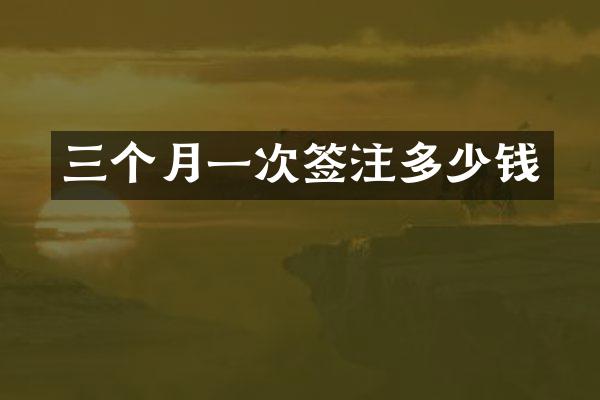 三个月一次签注多少钱