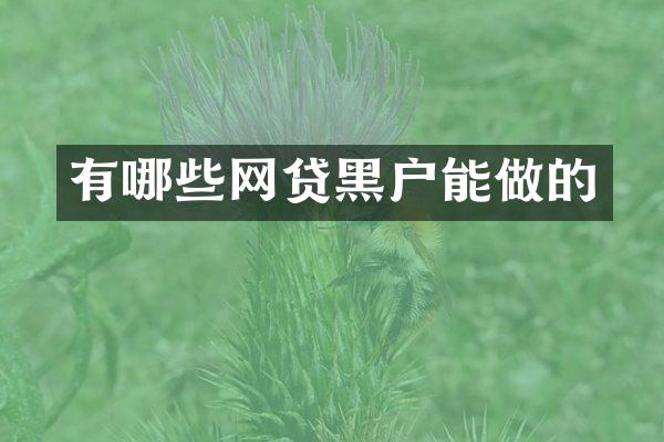 有哪些网贷黑户能做的