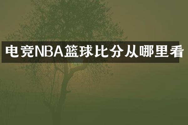 电竞NBA篮球比分从哪里看