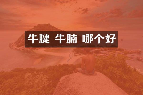 牛腱 牛腩 哪个好