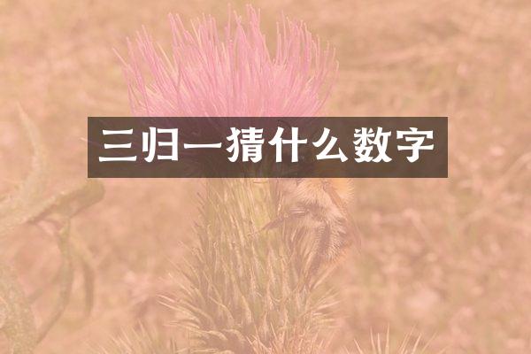 三归一猜什么数字