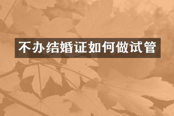 不办结婚证如何做试管