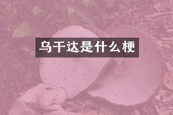 乌干达是什么梗