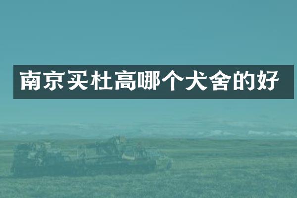 南京买杜高哪个犬舍的好