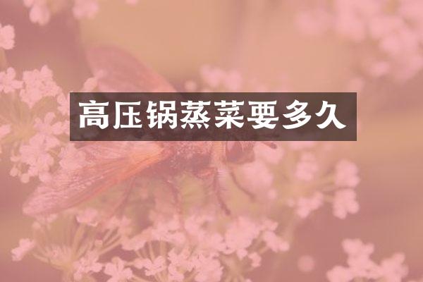 高压锅蒸菜要多久