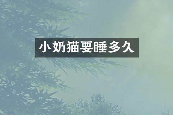 小奶猫要睡多久