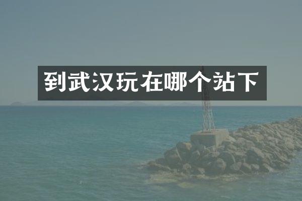 到武汉玩在哪个站下