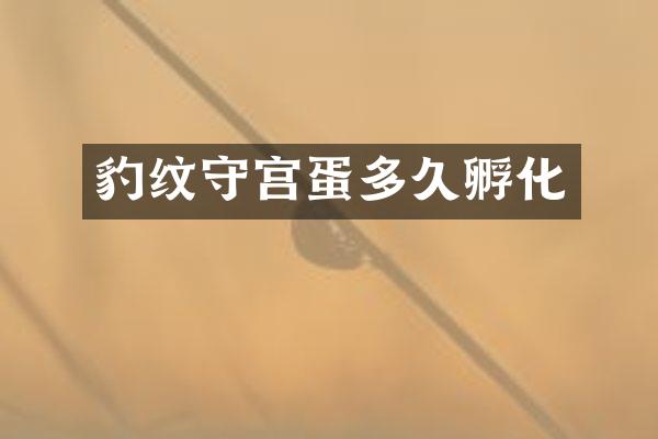 豹纹守宫蛋多久孵化