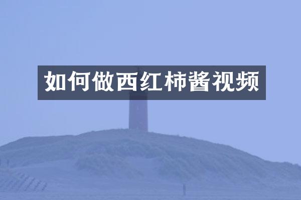 如何做西红柿酱视频