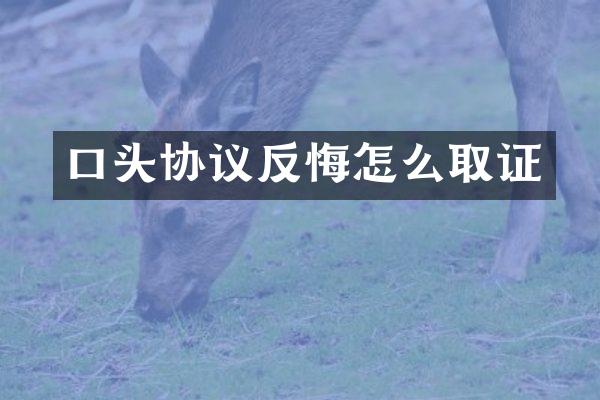 口头协议反悔怎么取证