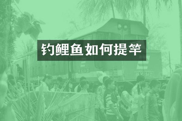 钓鲤鱼如何提竿