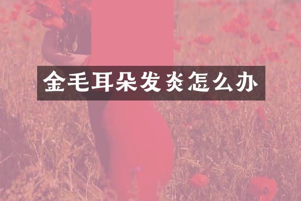 金毛耳朵发炎怎么办