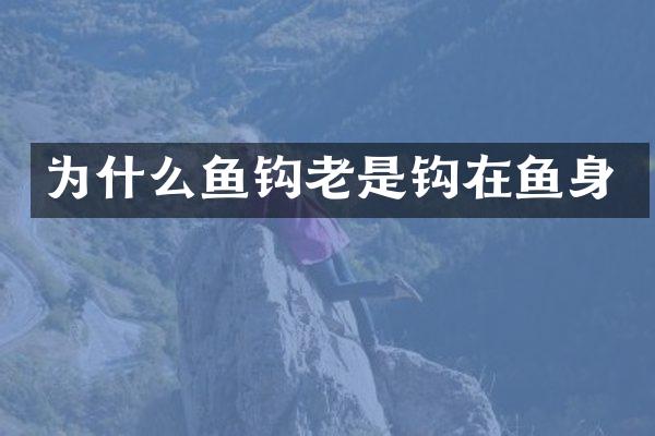 为什么鱼钩老是钩在鱼身