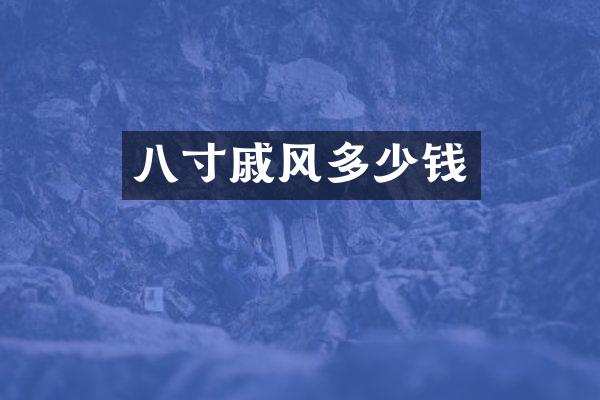 八寸戚风多少钱