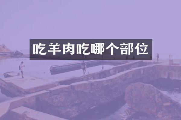 吃羊肉吃哪个部位