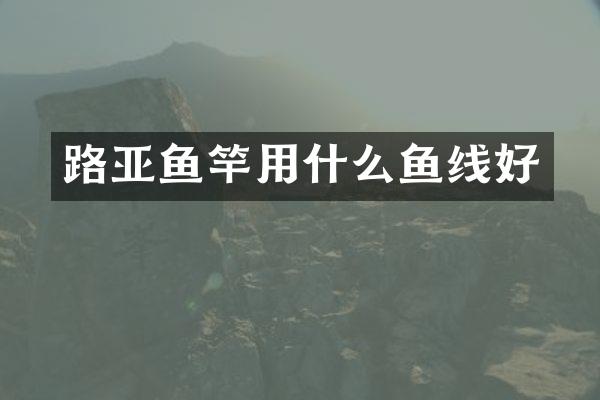 路亚鱼竿用什么鱼线好