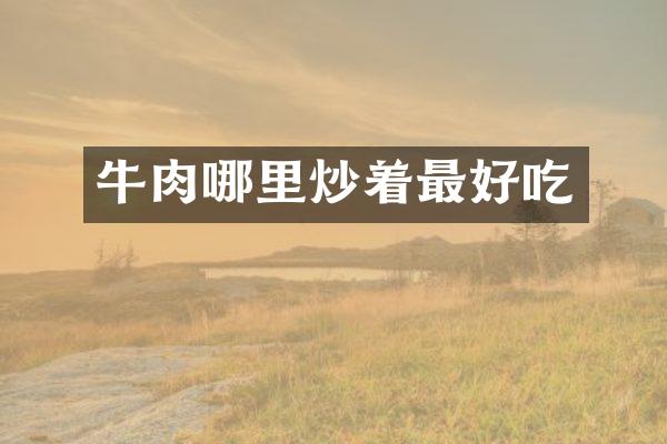 牛肉哪里炒着最好吃
