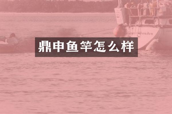 鼎申鱼竿怎么样