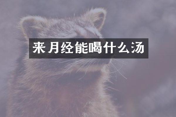 来月经能喝什么汤