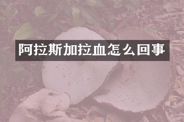 阿拉斯加拉血怎么回事