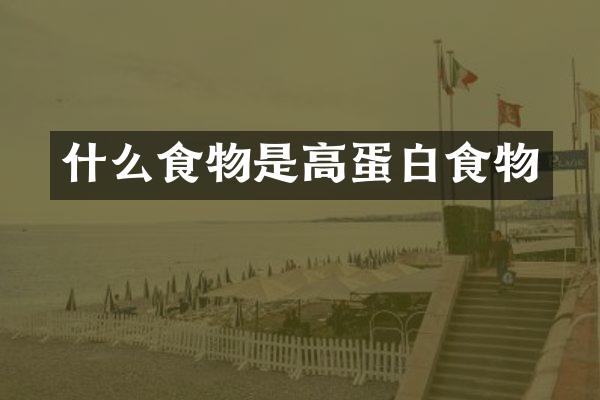 什么食物是高蛋白食物