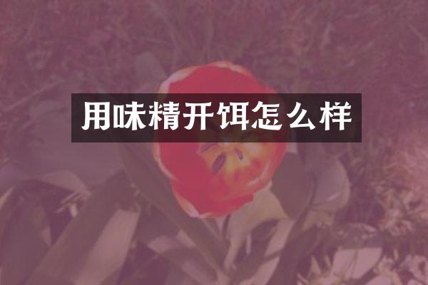 用味精开饵怎么样