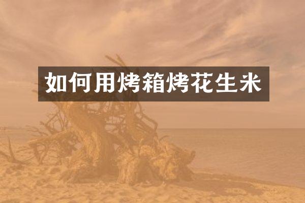 如何用烤箱烤花生米