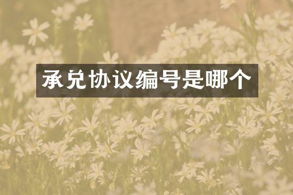 承兑协议编号是哪个