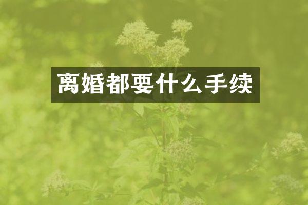 离婚都要什么手续