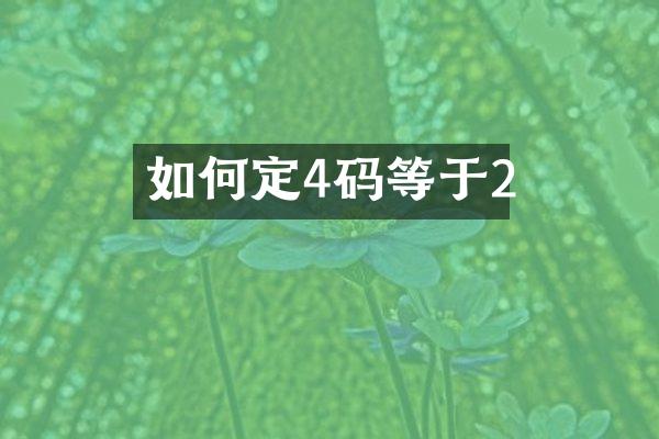 如何定4码等于2