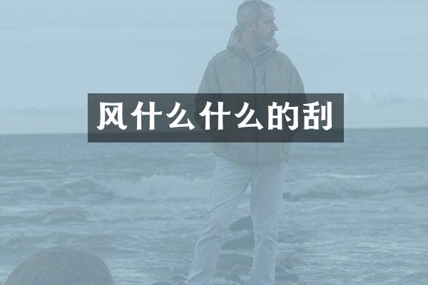 风什么什么的刮