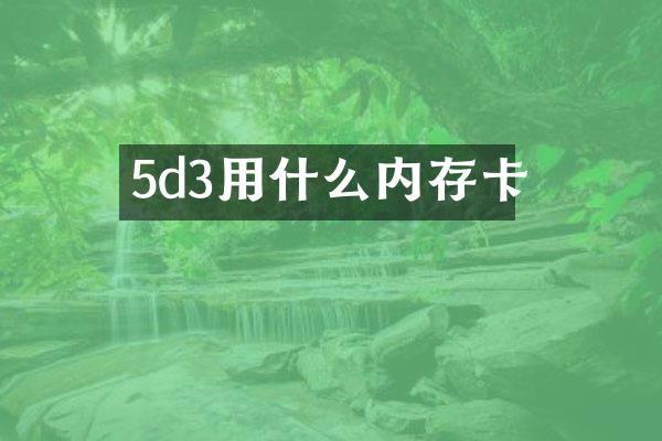 5d3用什么内存卡