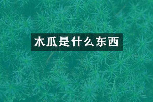 木瓜是什么东西