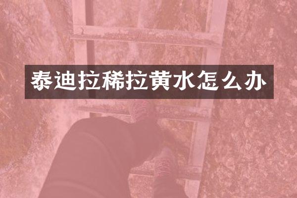 泰迪拉稀拉黄水怎么办