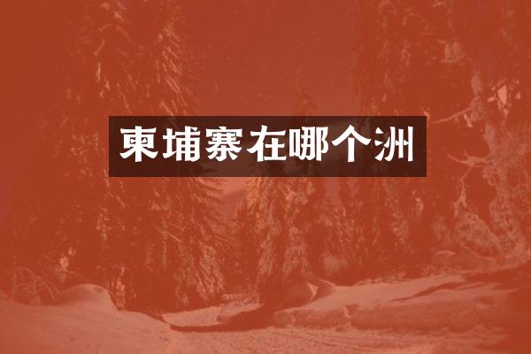 柬埔寨在哪个洲