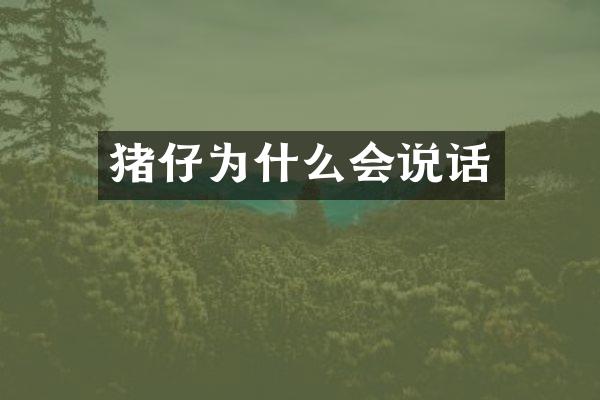 猪仔为什么会说话