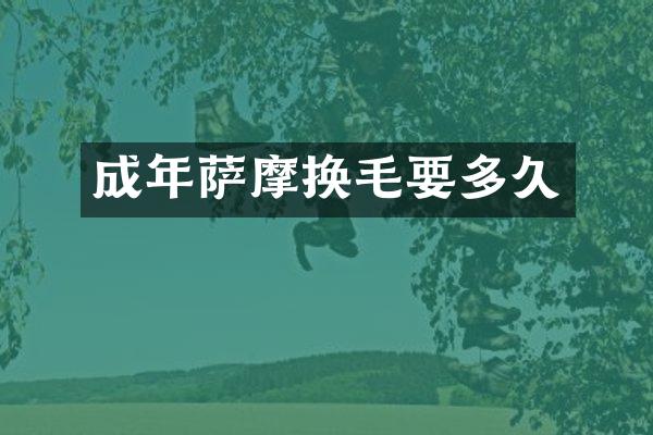 成年萨摩换毛要多久