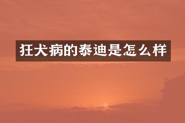 狂犬病的泰迪是怎么样